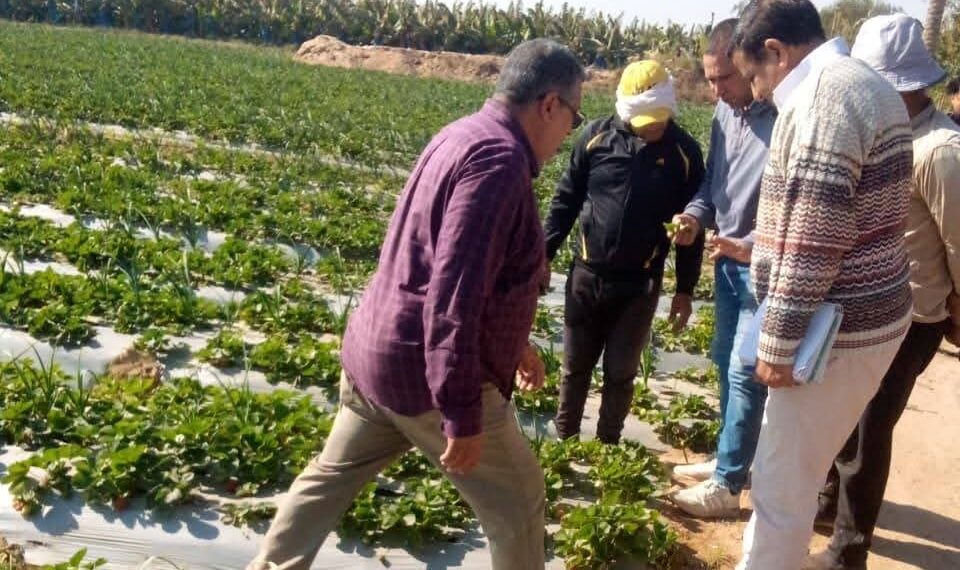 جانب من الجولة