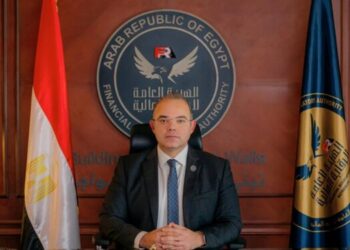 الدكتور محمد فريد رئيس هيئة الرقابة المالية