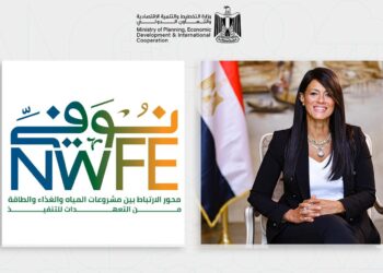 وزيرة التخطيط