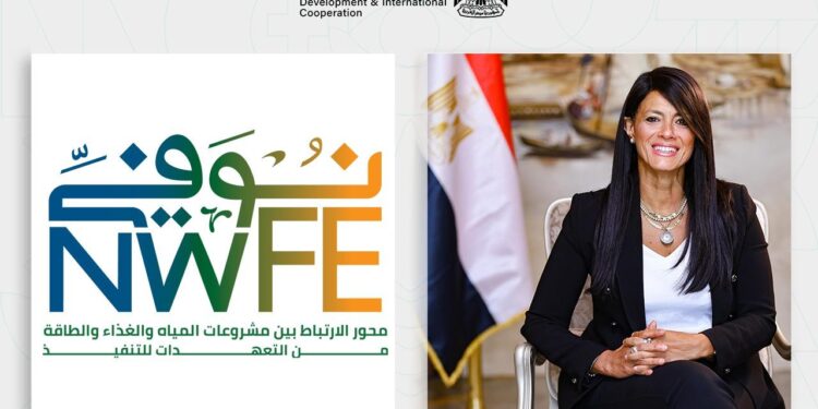 وزيرة التخطيط