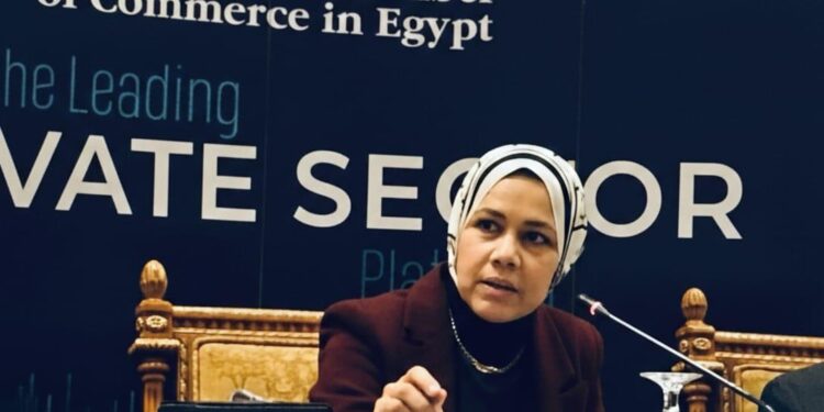 رشا عبد العال، رئيس مصلحة الضرائب المصرية