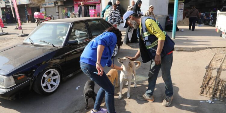 جانب من الحملة