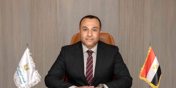 هشام محي الدين