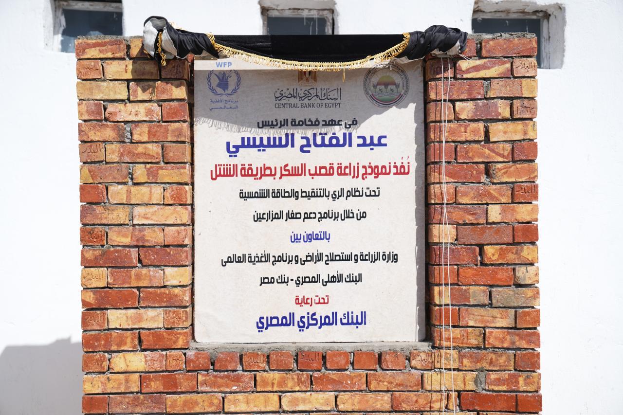 جانب من الجولة 