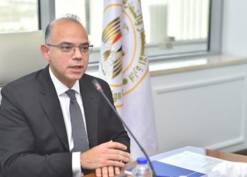 الدكتور محمد فريد، وزير الاستثمار والتجارة الخارجية